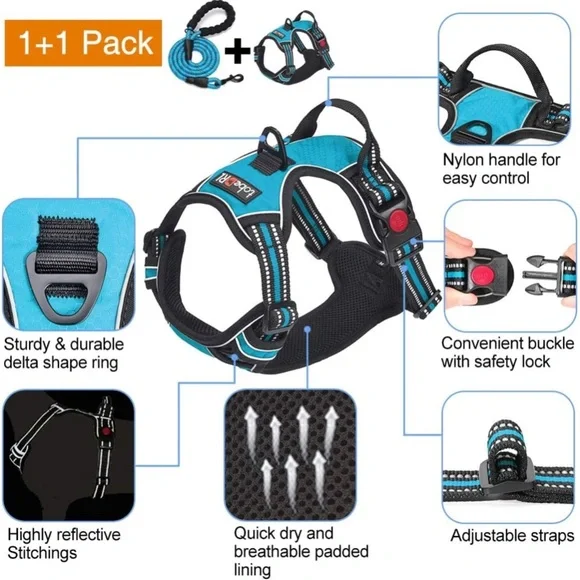 Blue Dog Harness and Leash Set - Picture 3 of 9